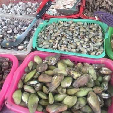 Tổng hợp- Ăn vặt Ốc Hẻm 243