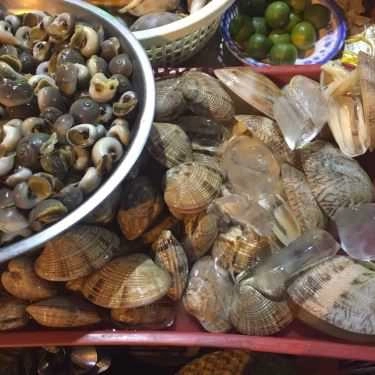 Tổng hợp- Quán Nhậu Ốc Hẻm - Lê Hồng Phong