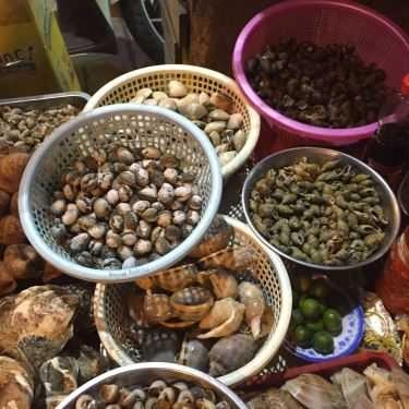 Tổng hợp- Quán Nhậu Ốc Hẻm - Lê Hồng Phong