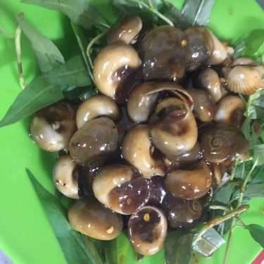 Tổng hợp- Ăn vặt Ốc Hoàng - Lê Thị Hồng