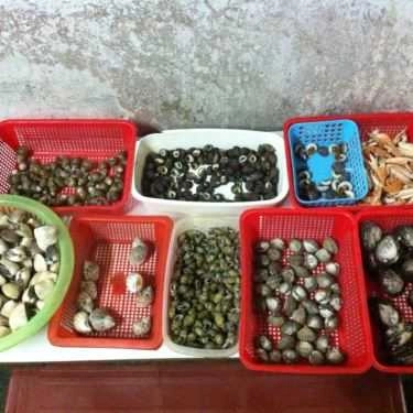 Tổng hợp- Ăn vặt Ốc Ken 30k