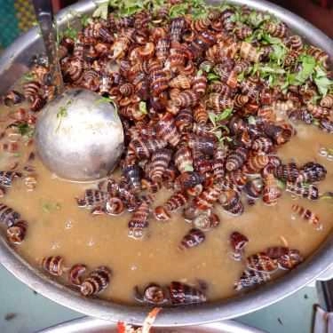 Tổng hợp- Ăn vặt Quán Ốc Ký