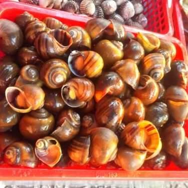 Tổng hợp- Ăn vặt Ốc Nè Đồng Giá 30k