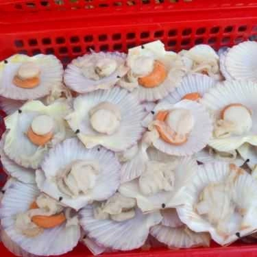 Tổng hợp- Ăn vặt Ốc Nè Đồng Giá 30k