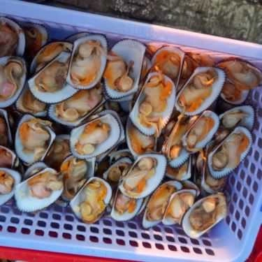 Tổng hợp- Ăn vặt Ốc Nè Đồng Giá 30k