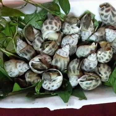 Món ăn- Ăn vặt Ốc Nè