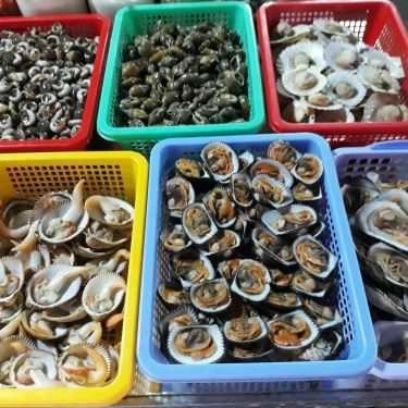 Tổng hợp- Quán Nhậu Ốc Nhí 20k