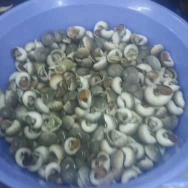 Tổng hợp- Quán Nhậu Ốc Phương 2 - Cao Ốc Thuận Việt