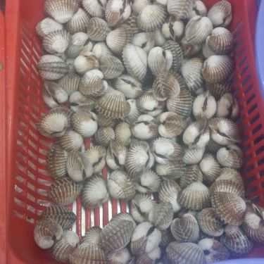 Tổng hợp- Quán Nhậu Ốc Phương 2 - Cao Ốc Thuận Việt