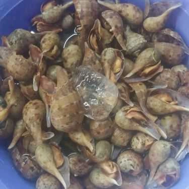 Tổng hợp- Quán Nhậu Ốc Phương 2 - Cao Ốc Thuận Việt