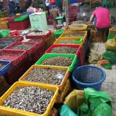 Tổng hợp- Quán Nhậu Ốc Quyên 2