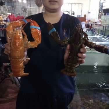 Tổng hợp- Quán Nhậu Ốc Quyên 2