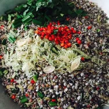 Món ăn- Ăn vặt Ốc Ruốc Phú Yên
