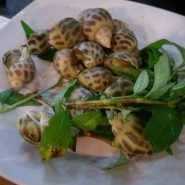 Món ăn- Quán Nhậu Ốc Sướng
