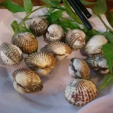 Món ăn- Quán Nhậu Ốc Sướng