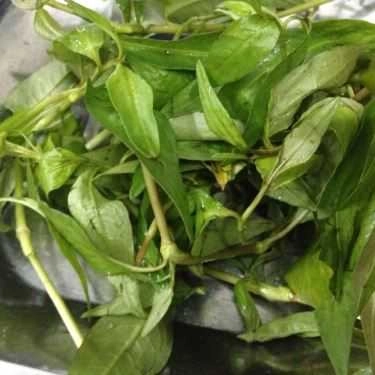 Tổng hợp- Ăn vặt Ốc Thủy Tiên - Đoàn Văn Bơ