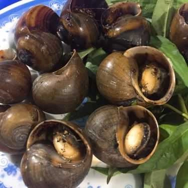Món ăn- Quán Nhậu Ốc Tiên