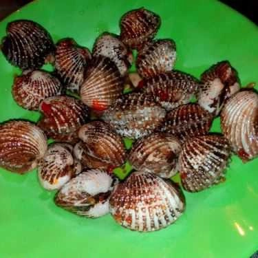 Món ăn- Ăn vặt Ốc Vỉa Hè - Đồng Giá 20k