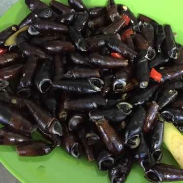 Món ăn- Ăn vặt Ốc Xào Nha Trang - Phạm Văn Đồng