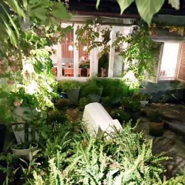 Tổng hợp- Ollie Cafe