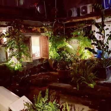 Tổng hợp- Ollie Cafe