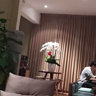 Tổng hợp- Ollie Cafe