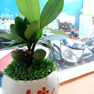 Tổng hợp- Cafe Orange House - Trà Trái Cây Tươi - Nguyễn Xuân Khoát
