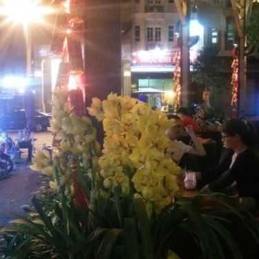 Tổng hợp- Orchid Cafe