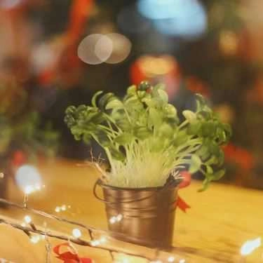 Tổng hợp- Osa Coffeeshop