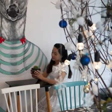 Tổng hợp- OY Cafe