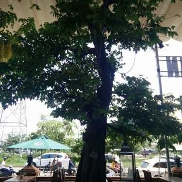 Tổng hợp- Cafe Palian SamYan Dining