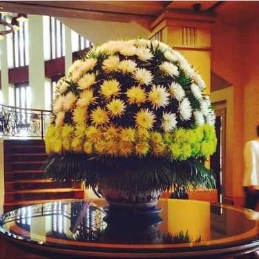 Tổng hợp- Cafe Park Lounge - Park Hyatt Saigon
