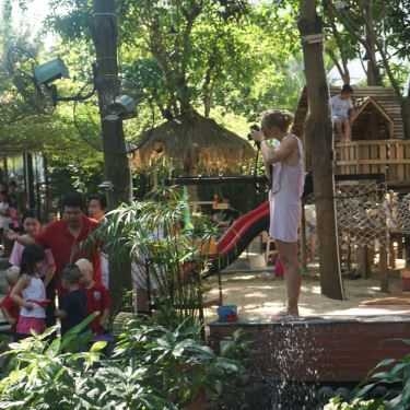 Tổng hợp- Pet Me Cafe