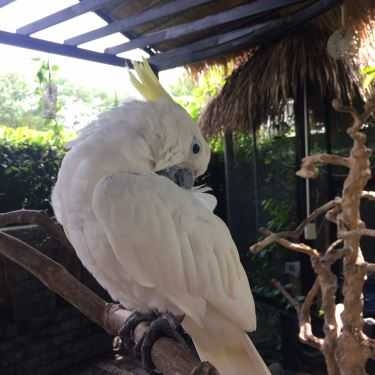 Tổng hợp- Pet Me Cafe