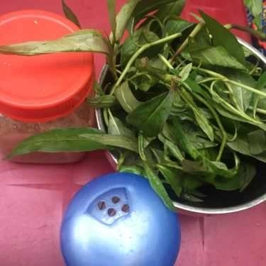Tổng hợp- Ăn vặt Phá Lấu Gia Định