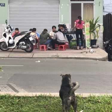 Tổng hợp- Ăn vặt Phá Lấu Su Su - Hoàng Sa