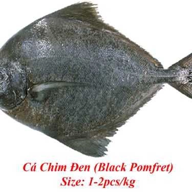 Tổng hợp- Quán Nhậu Phalin Quán - Đặc Sản Cá Biển