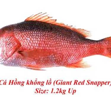 Tổng hợp- Quán Nhậu Phalin Quán - Đặc Sản Cá Biển