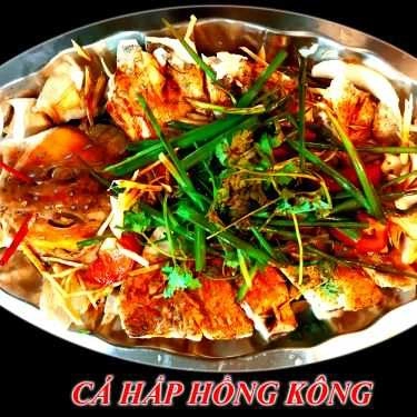 Tổng hợp- Quán Nhậu Phalin Quán - Đặc Sản Cá Biển