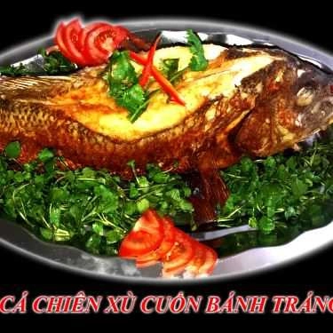 Tổng hợp- Quán Nhậu Phalin Quán - Đặc Sản Cá Biển