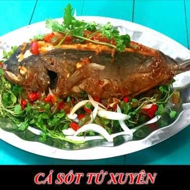 Tổng hợp- Quán Nhậu Phalin Quán - Đặc Sản Cá Biển