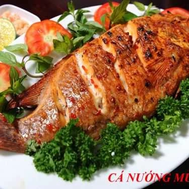 Tổng hợp- Quán Nhậu Phalin Quán - Đặc Sản Cá Biển