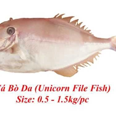 Tổng hợp- Quán Nhậu Phalin Quán - Đặc Sản Cá Biển