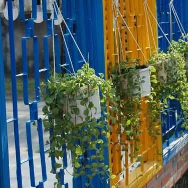 Tổng hợp- Phin Cafe - Hồng Đức