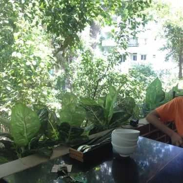 Tổng hợp- Phố Cafe - Hoàng Minh Giám