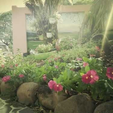 Tổng hợp- The Gardens Coffee