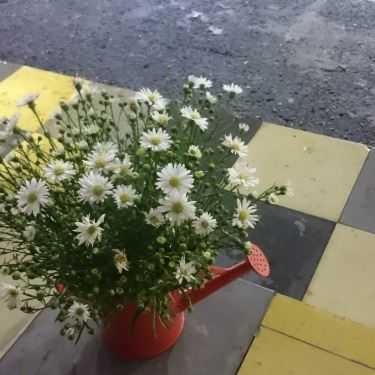 Tổng hợp- Phương Nam Book Cafe