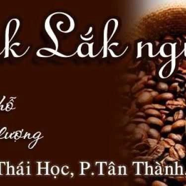 Tổng hợp- QG Cafe