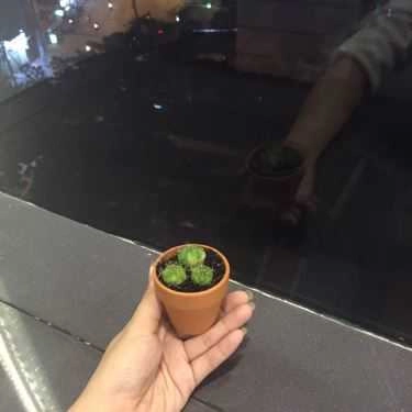 Tổng hợp- Qi Garden Coffee