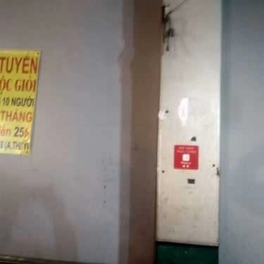 Tổng hợp- Ăn vặt Quán Cây Xăng - Gà Nướng & Lòng Xào